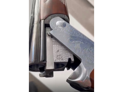 Rizzini omnium 
