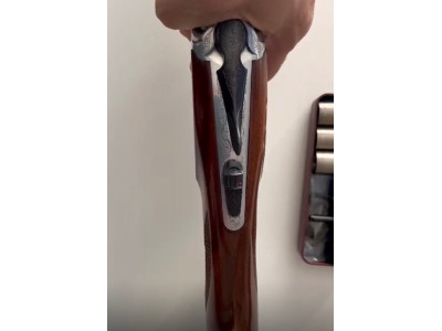 Rizzini omnium 