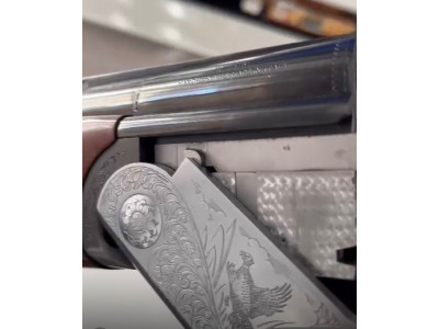 Rizzini omnium 