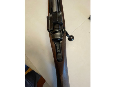 Ruger m77 