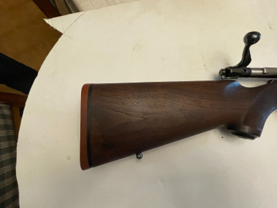 Ruger m77 