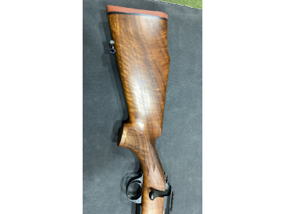 Sabatti Saphire madera