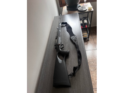 Sabatti Shapire sport TH