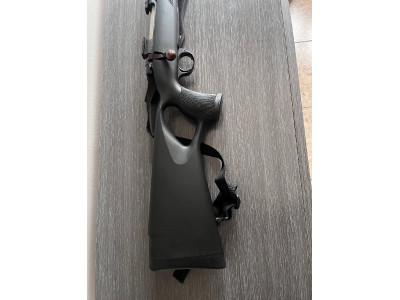 Sabatti Shapire sport TH