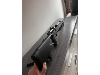 Sabatti Shapire sport TH