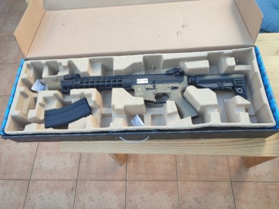 Saigo AEG Kenji