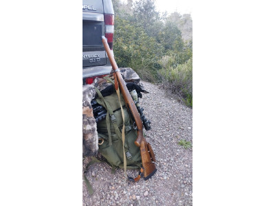 Sako Finnbear Stutzen Calibre 300