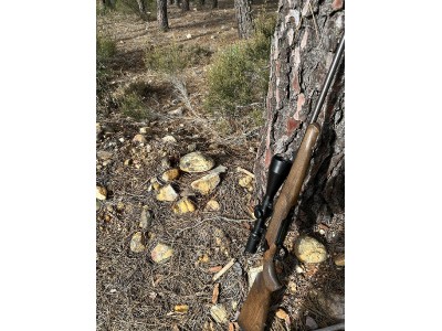 Sauer 100 Clásic Madera Cal. 300