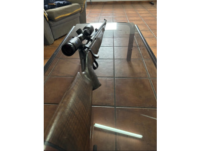 Sauer 200 