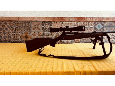 Sauer 202 300 Weatherby Magnum