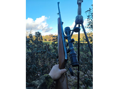Sauer 90 cerrojo