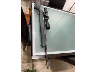 Sauer s303 calibre 338 wm