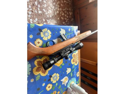 Savage Modelo 64 22LR
