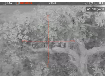 Savage 110 con visor Hikmicro alpex a 50