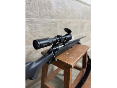Savage model 11