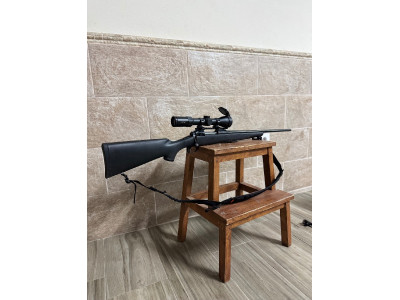 Savage model 11