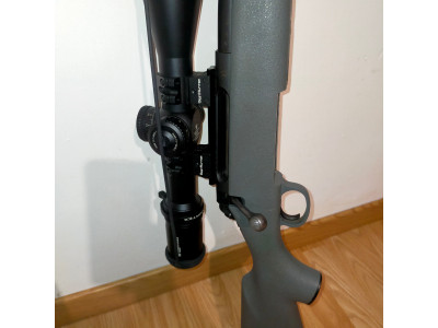 Remington 710