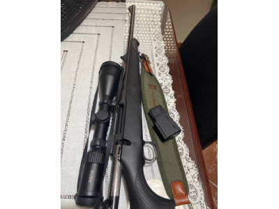 Sauer 100
