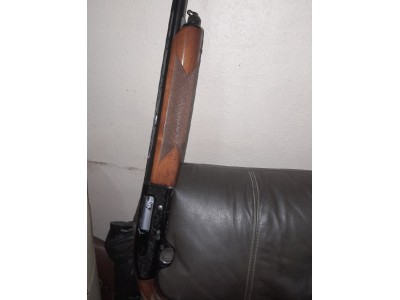 Beretta 302