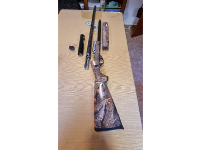 Benelli Raphaelo