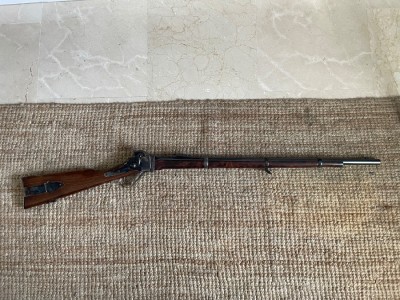 Sharps .54 Col Berdan Infantería