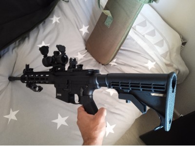 Smith and wesson mp15 22 lr