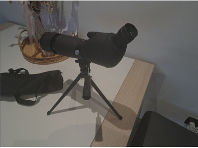 SMITH WESSON + Accesorios