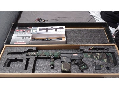 SR25 Golden Eagle