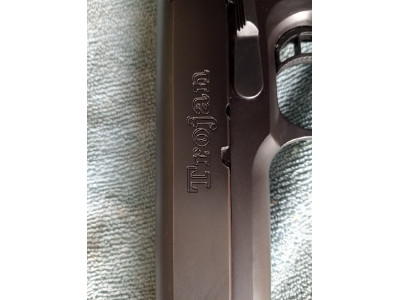 STI Trojan