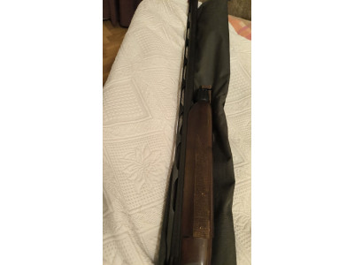 Stoeger 3000    