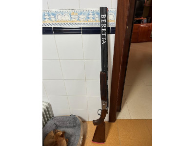 Beretta 682 Trap