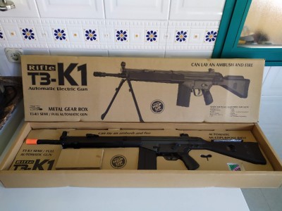 T3-K1 JING GONG (HK G3 SG1)