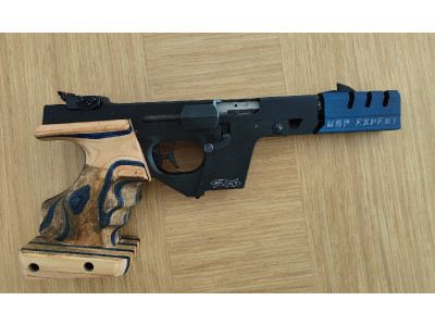 Walther GSP expert