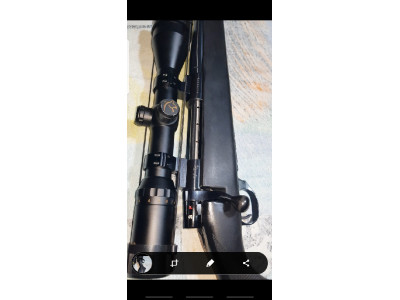 Weatherby vanguard s1