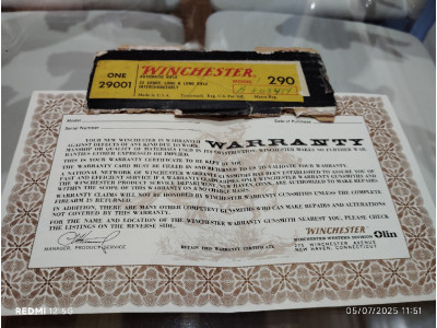Winchester 290