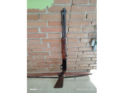 Winchester 290