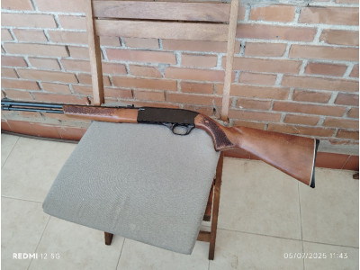 Winchester 290