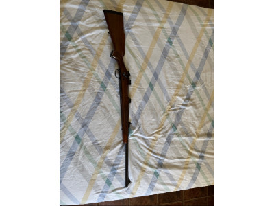 Winchester Calibre 270