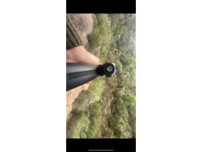 Winchester sxp cal 12