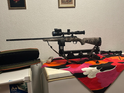 Winchester y Visor Pulsar