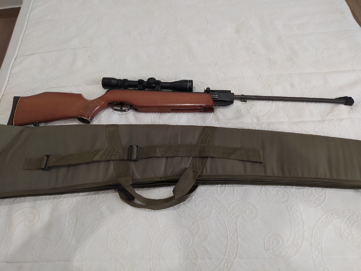 Gamo Hunter + Visor B&Crown