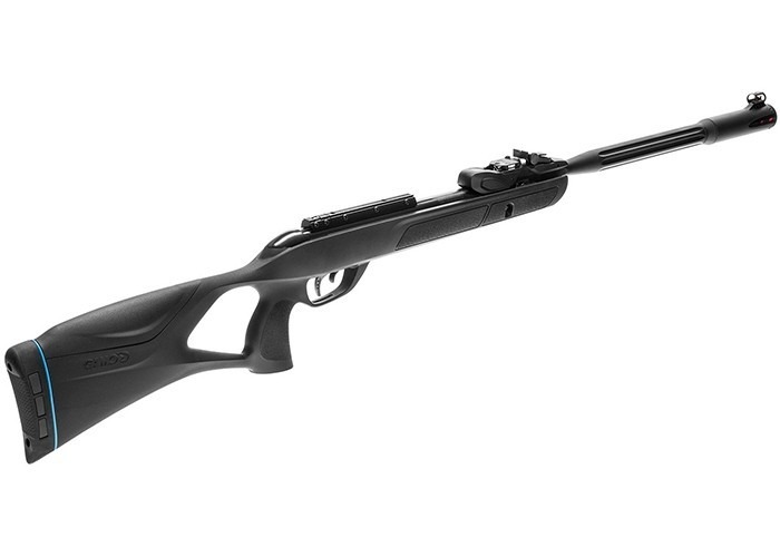 Gamo Roadster IGT 10X Gen 2 4.5 mm