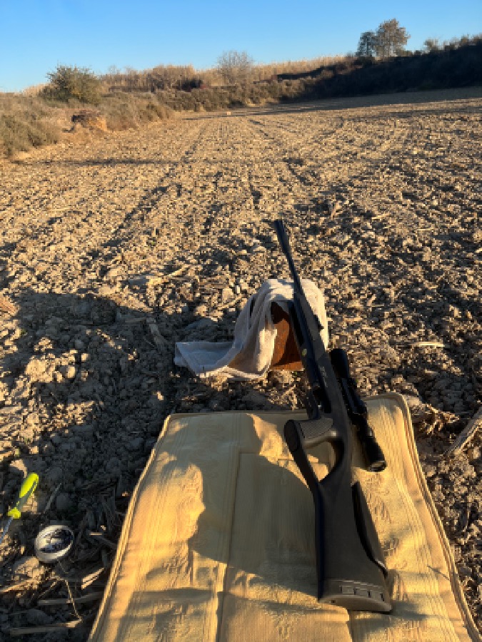 Gamo Whisper IGT 5.5