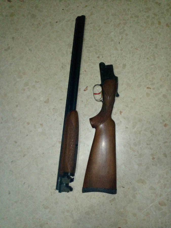 Laurona 06 CategorÃa 32