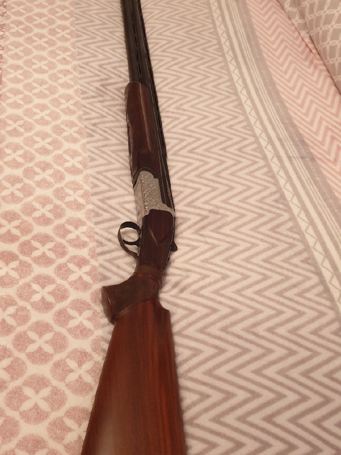 Escopeta de tiro al plato