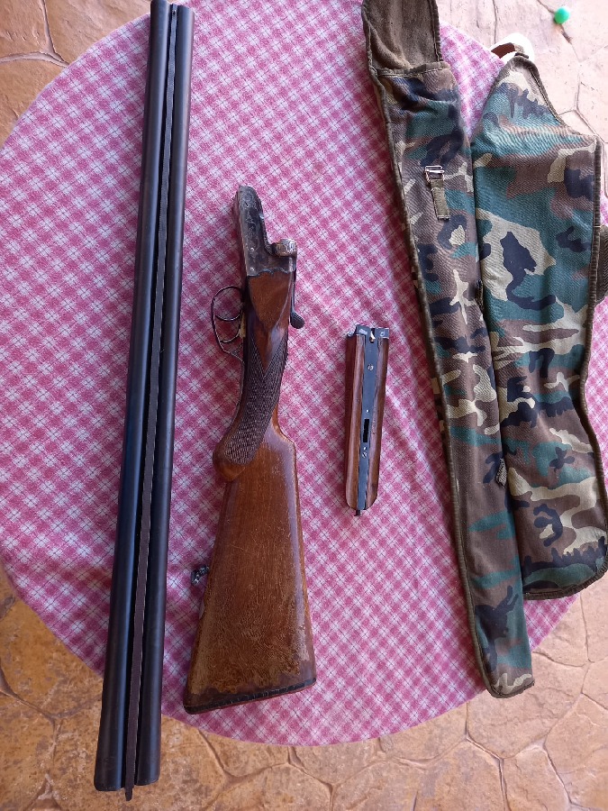 Hijos de Arizaga Eira ColibrÃ