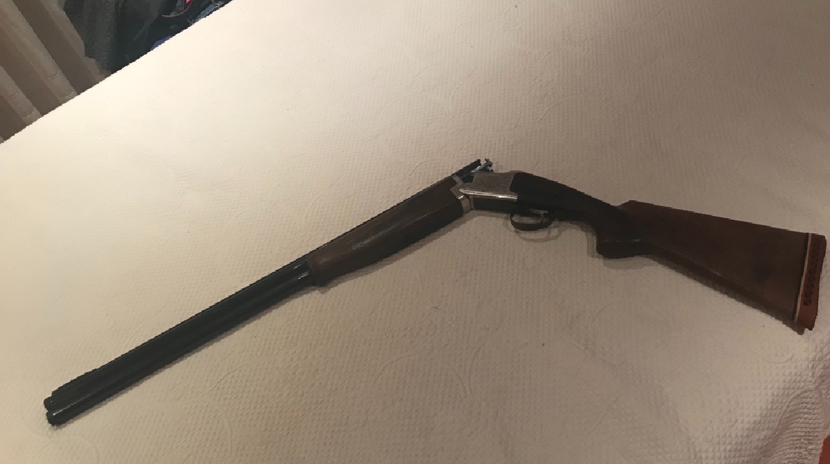 Laurona del año 1990