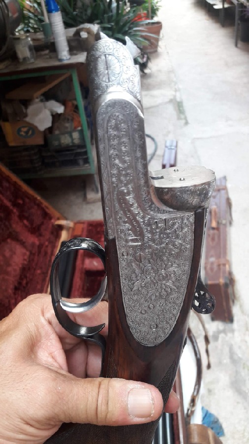 Filli Gamba Sant Vicent