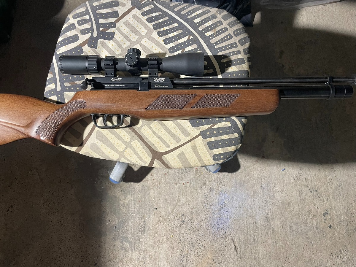 Gamo Coyote