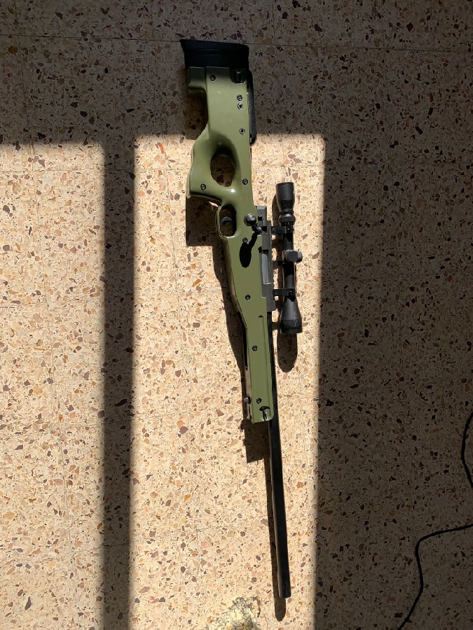 L96 Well Saigo Verde OD + Mira